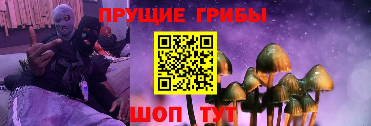 Псилоцибиновые грибы Psilocybine cubensis  Вход с VPN  Псилоцибиновые грибы Psilocybine cubensis  Красноуфимск 