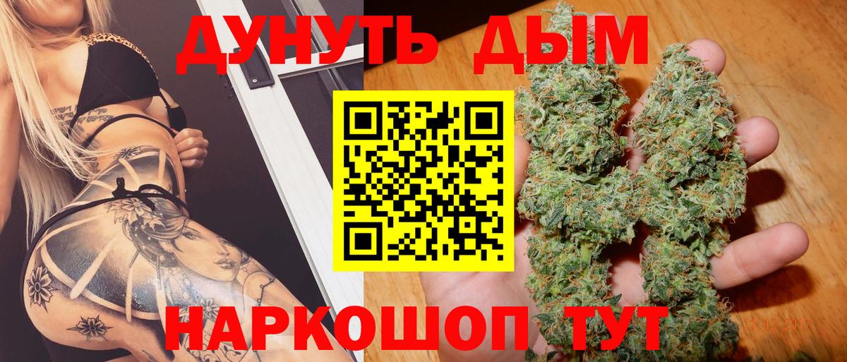 Бошки Шишки планчик  Каннабис планчик  МАРИХУАНА сатива  Красноуфимск  Канабис конопля  Вход с VPN 